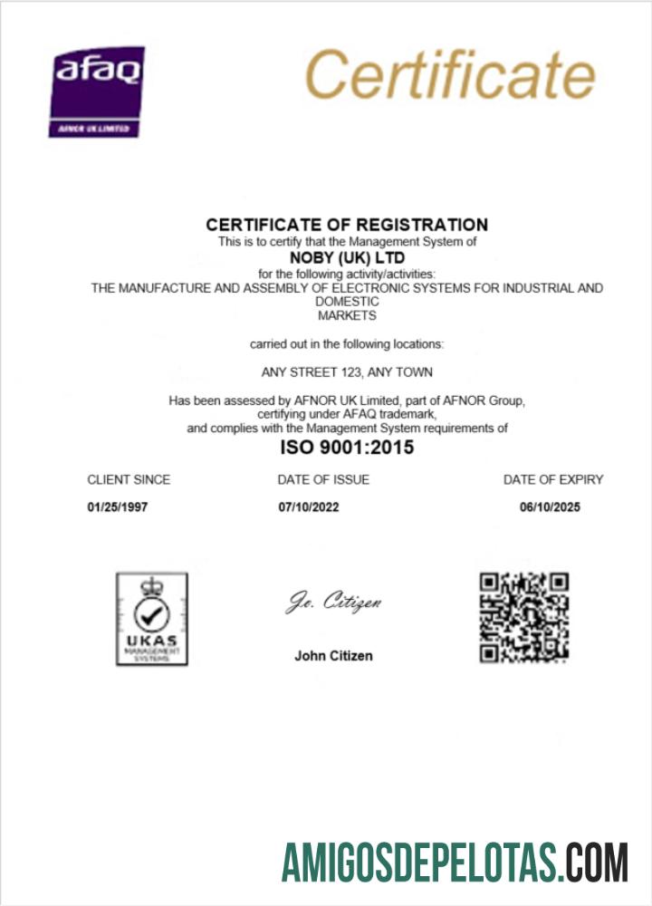 Certificado de registro comercial da UK Noby Ltd para download, modelo Word e PDF
